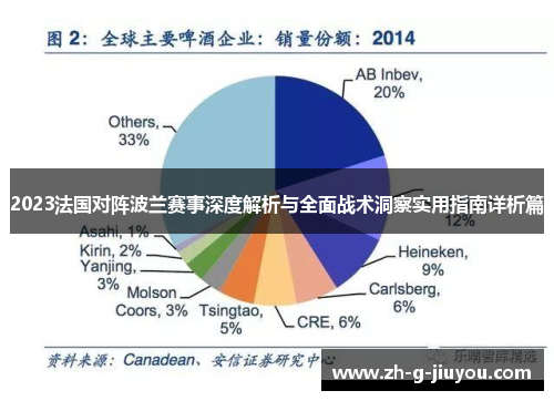 2023法国对阵波兰赛事深度解析与全面战术洞察实用指南详析篇